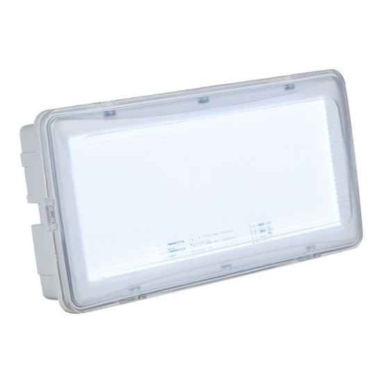 Battery Lights Showtec 34000