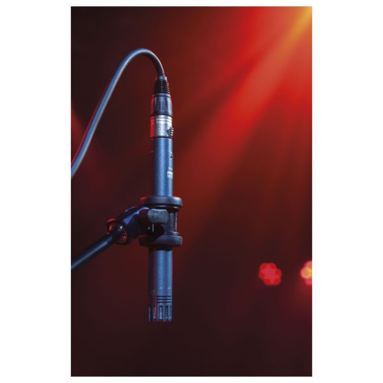 Microphones Dap-Audio D1354