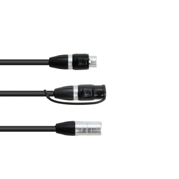 EUROLITE Adapter Cable DMX IP XLR 3-pin(m)/2xIP XLR 3-pin(f)